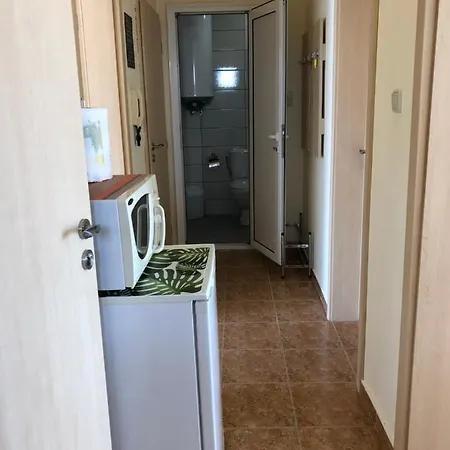 Borko Πανσιόν Πριμόρσκο