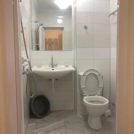 Πανσιόν Borko 2*