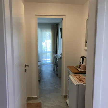 Borko Πανσιόν