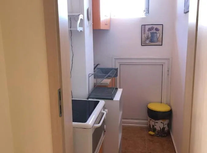 Borko 2* 普里莫尔斯科