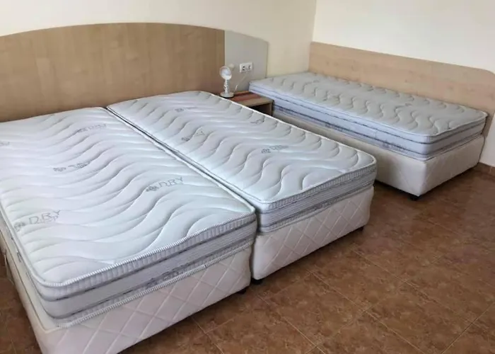 招待所 Borko 普里莫尔斯科