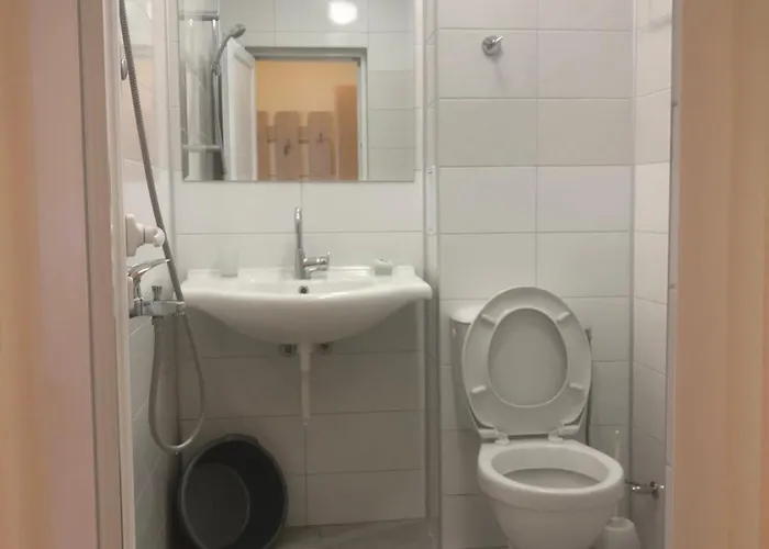 Casa de hóspedes Borko 2*